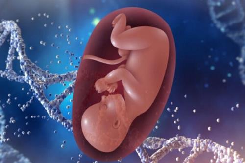 امکان حاملگی ایمن بعد از درمان سرطان خون با سلول های بنیادی